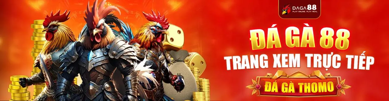 Sân đấu đá gà trực tuyến 5win bet sôi động