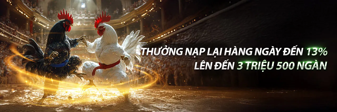 Đá Gà Trực Tuyến 5win bet - Trận Đấu Kịch Tính
