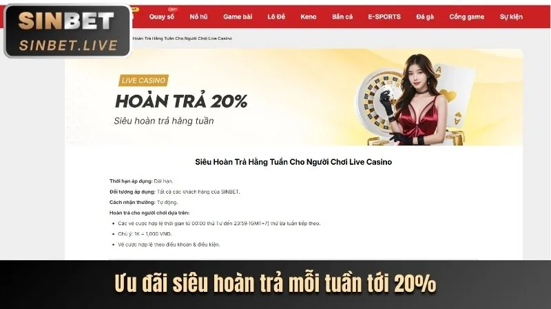 Hoàn trả hàng ngày và hàng tuần